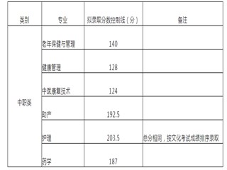 .内江卫生与康复职业学院2021年单招录取分数线